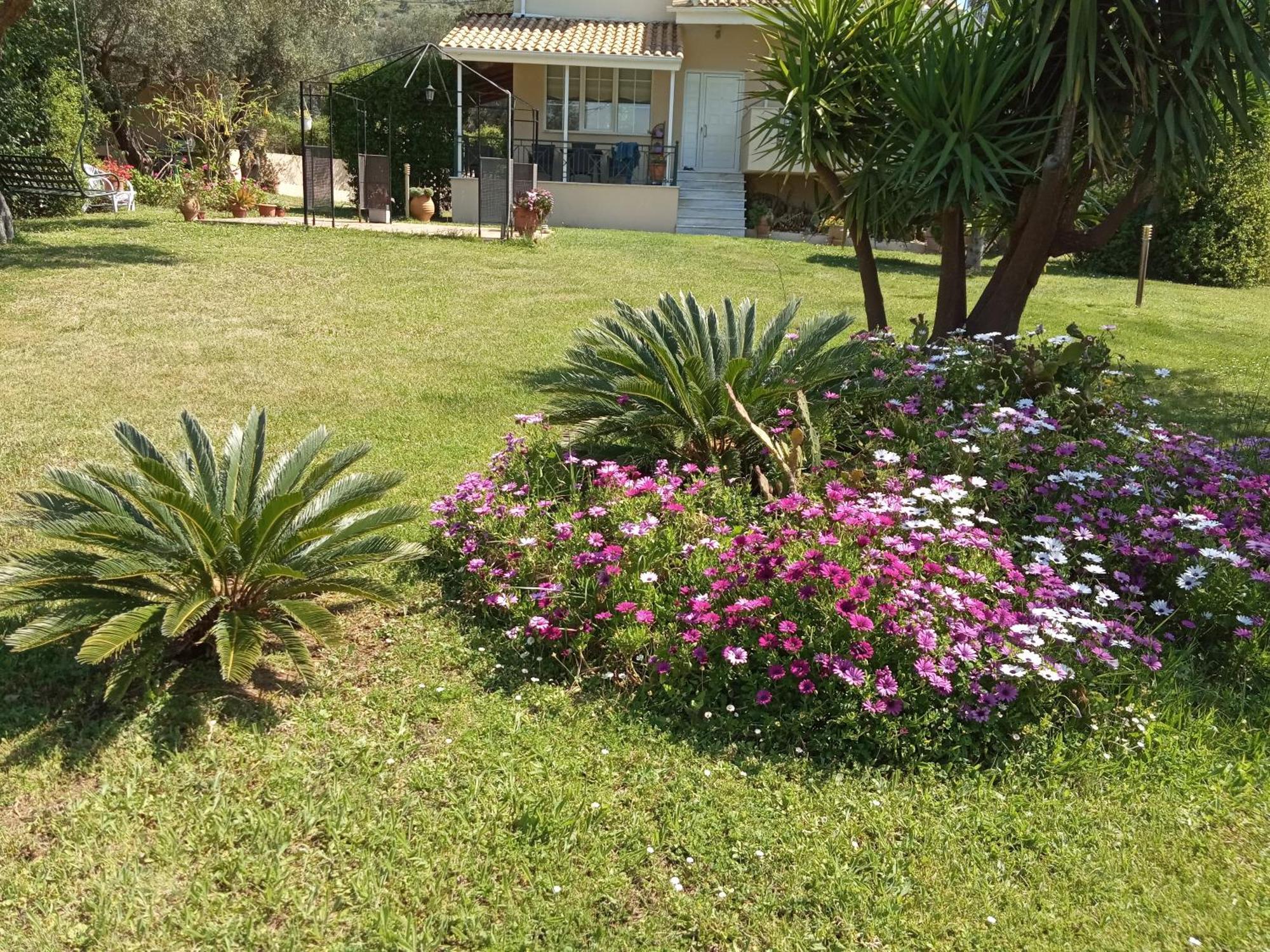 פלטאריה Sunny Garden Villa חדר תמונה